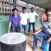 මයියොක්කා දන්සල